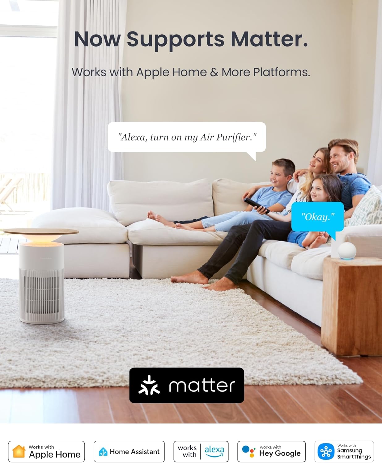 Air Purifier Coffee Table